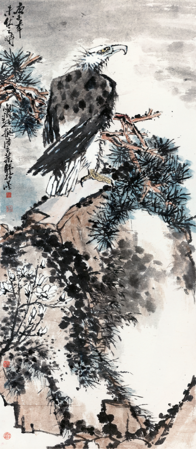 圖片